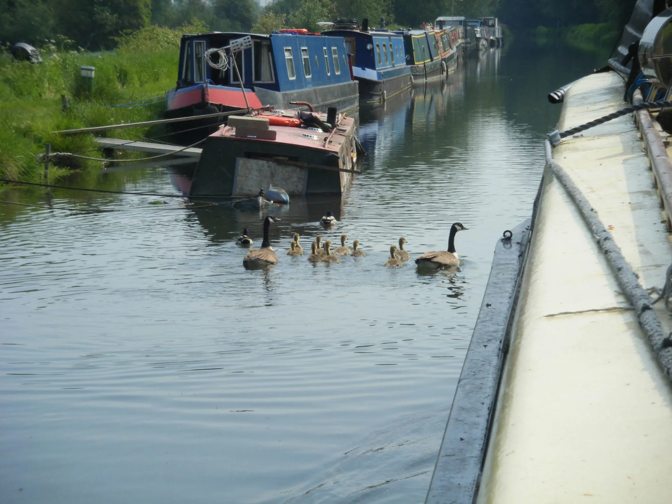 canals