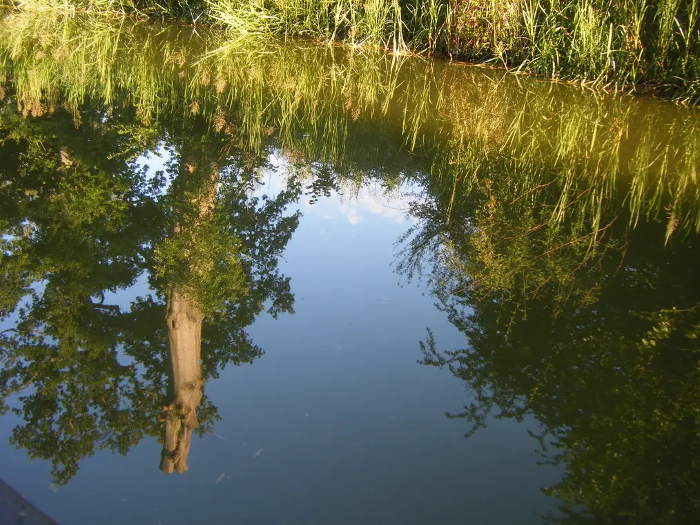canals