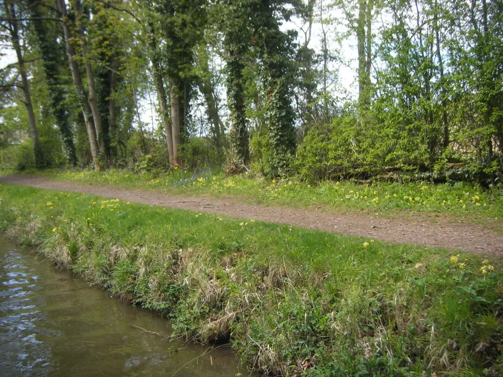 canals