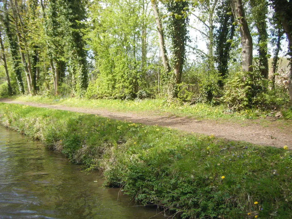 canals