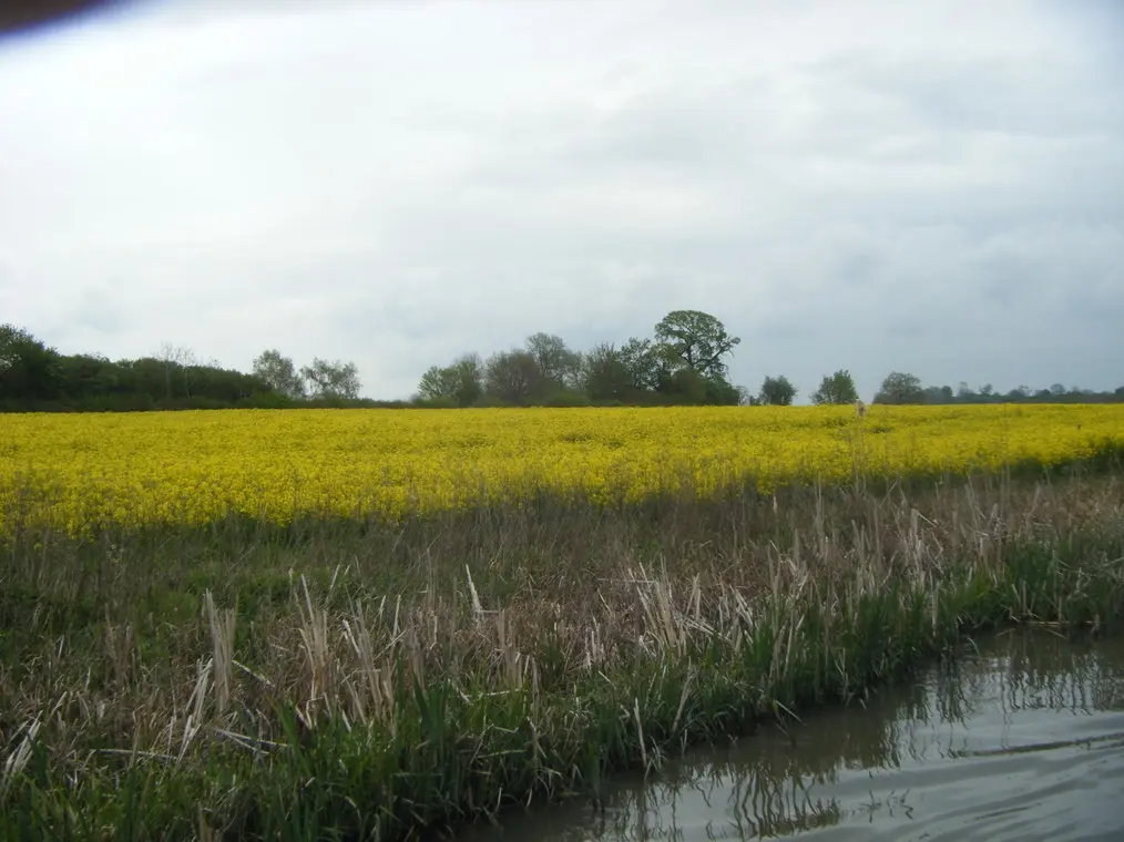 canals