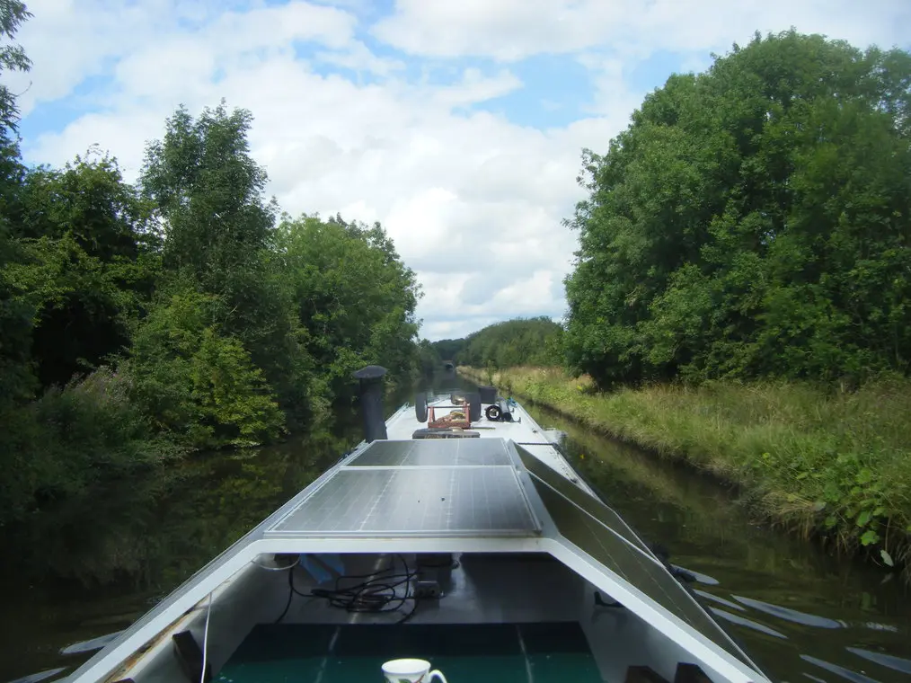 straight Shroppie