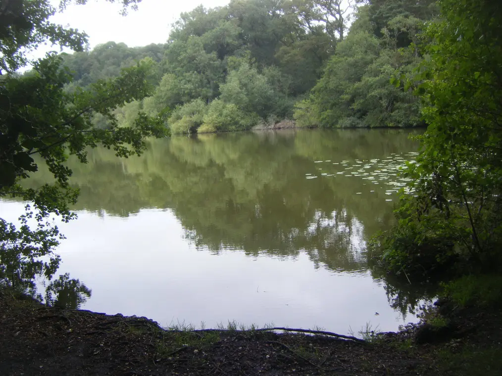 Blakemere