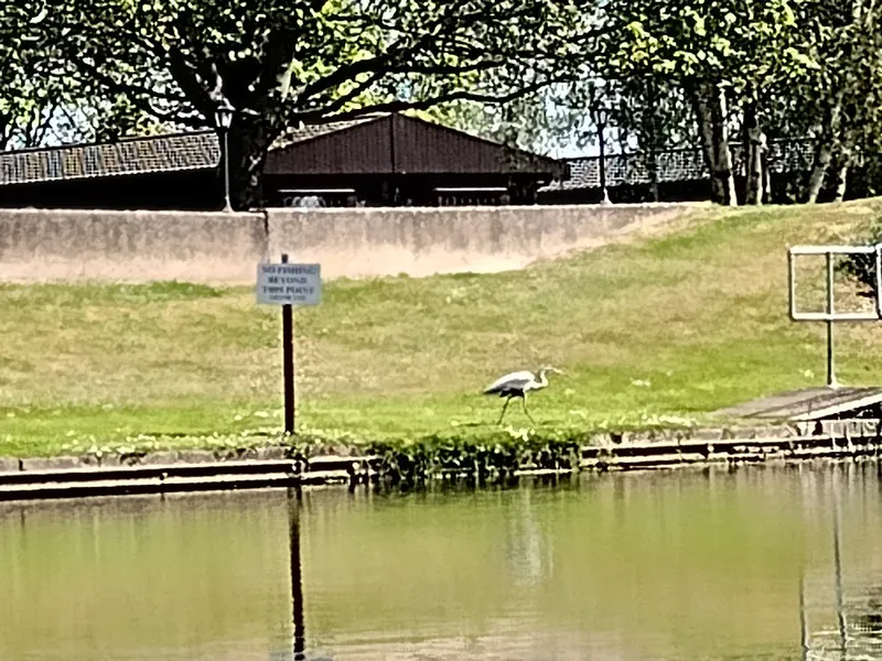 canals