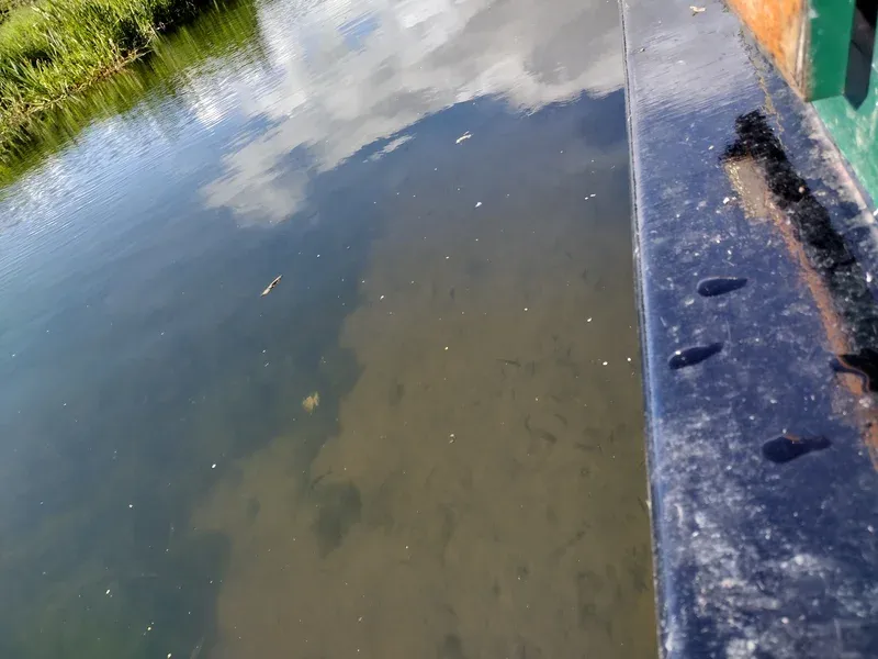 canals