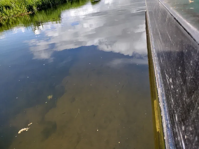 canals