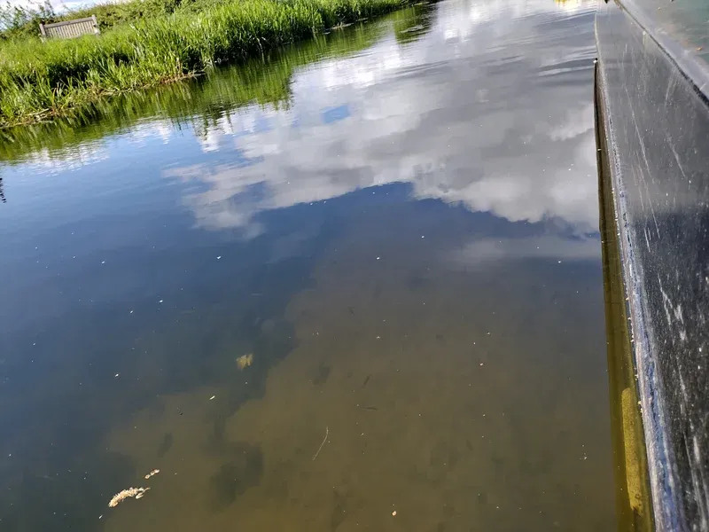 canals