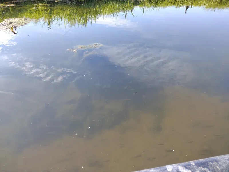 canals