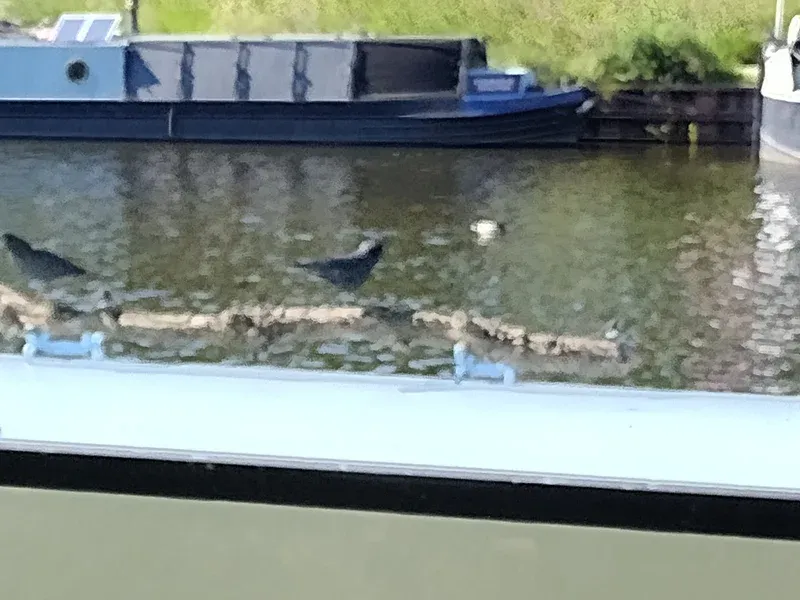 canals