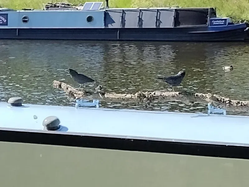 canals