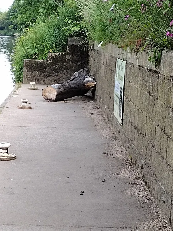 canals