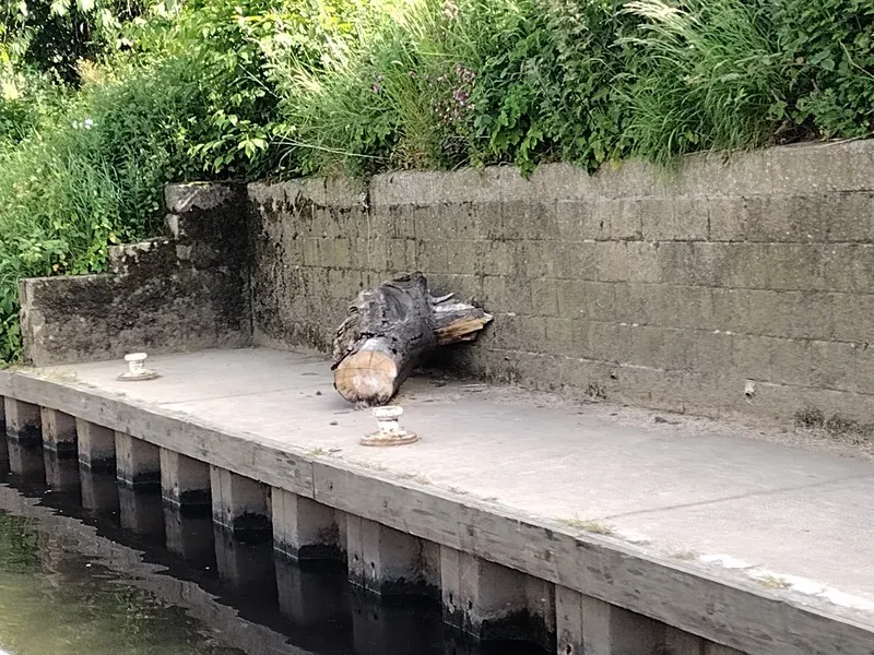 canals